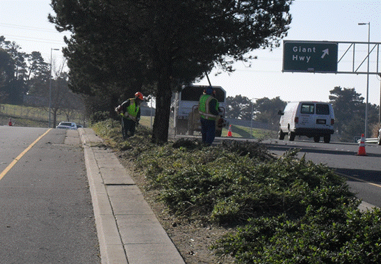 Landscape parkway
